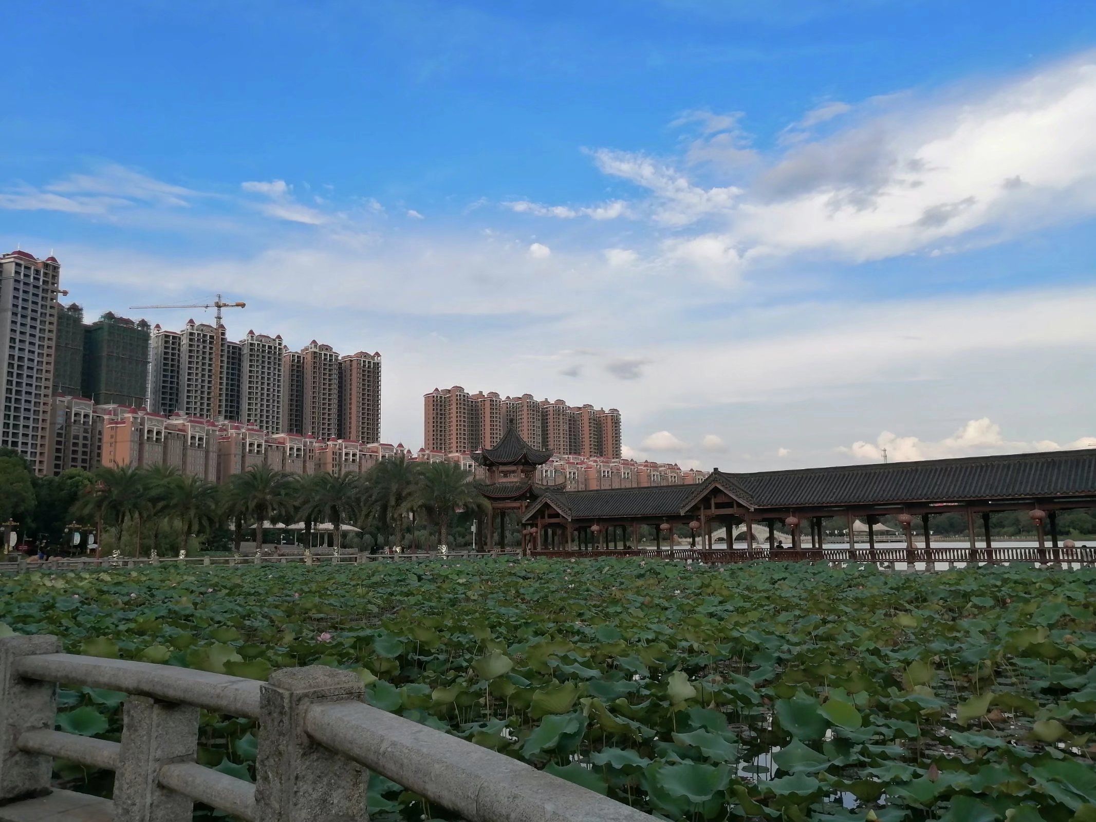 顺湖公园旅行图片 2