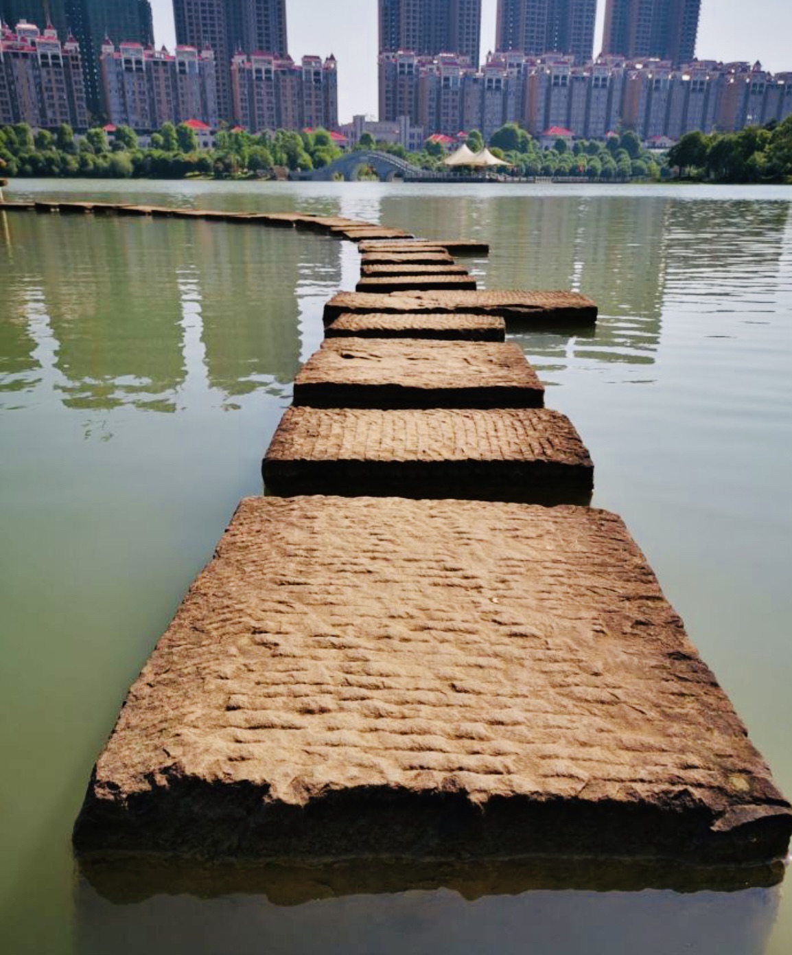顺湖公园旅行图片 2