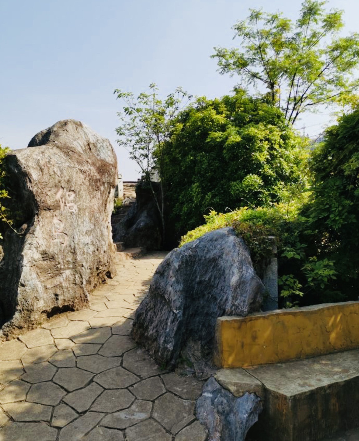 顺湖公园旅行图片 3