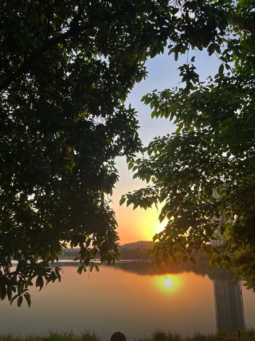 顺湖公园旅行图片 1