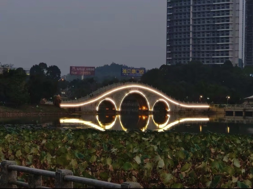 顺湖公园旅行图片 3