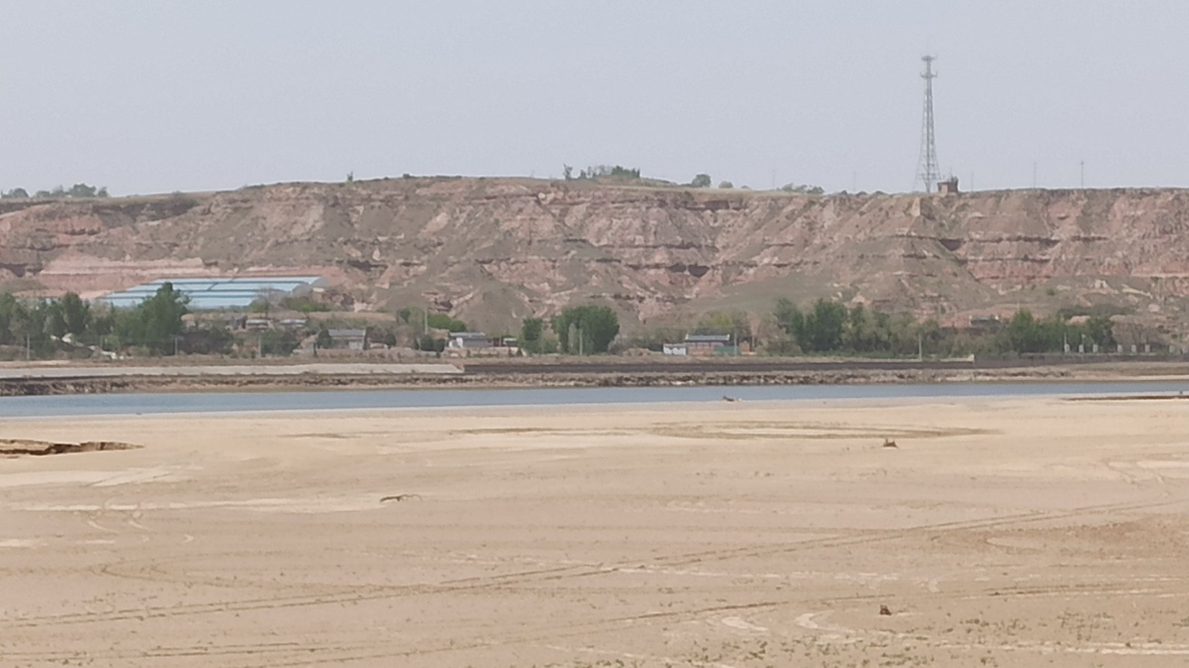 临隩公园旅行图片 1