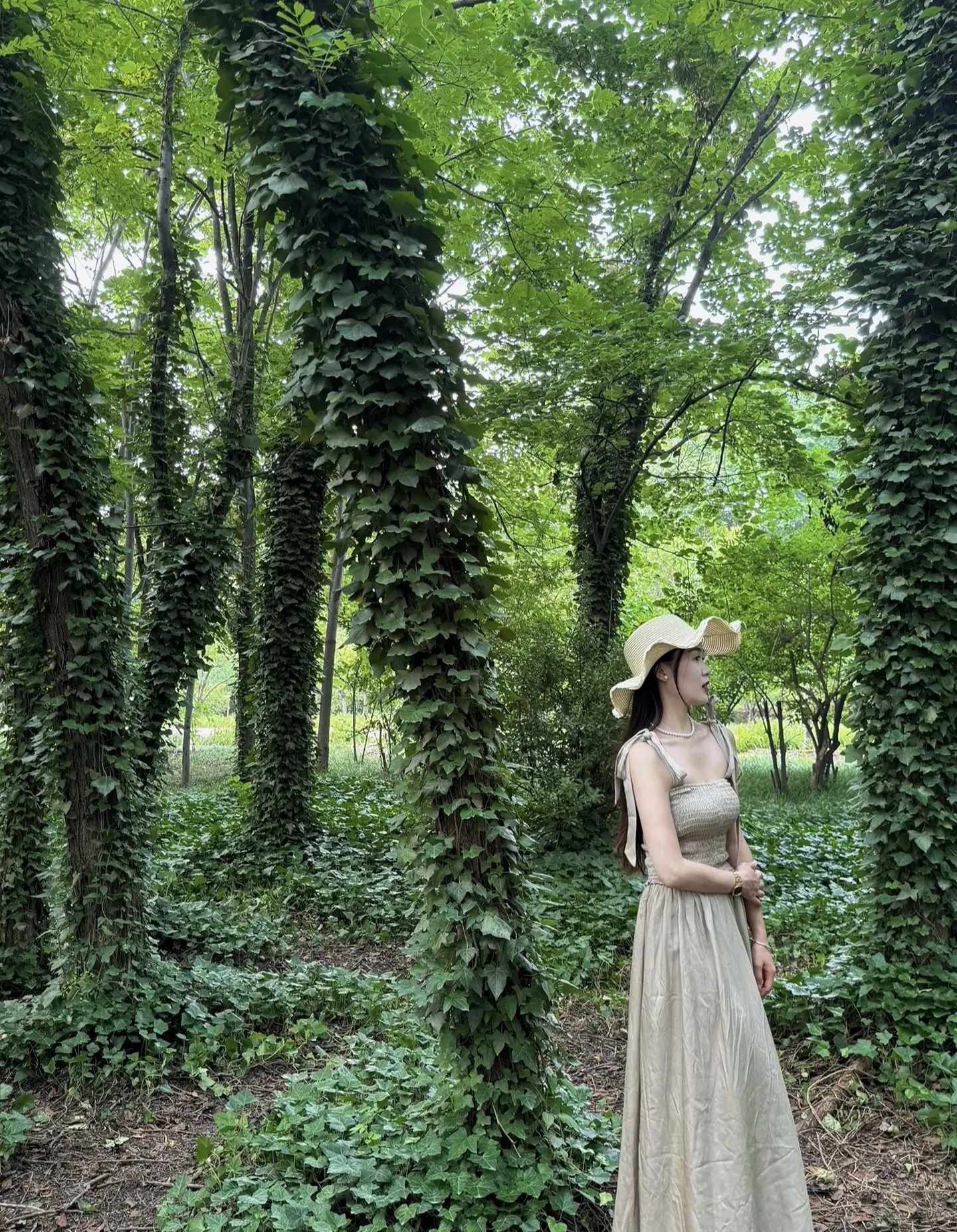 濮阳市植物园旅行图片 1