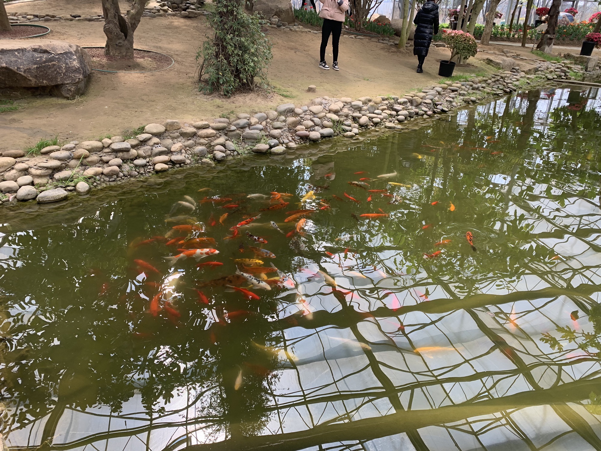 洲际绿博园旅行图片 3