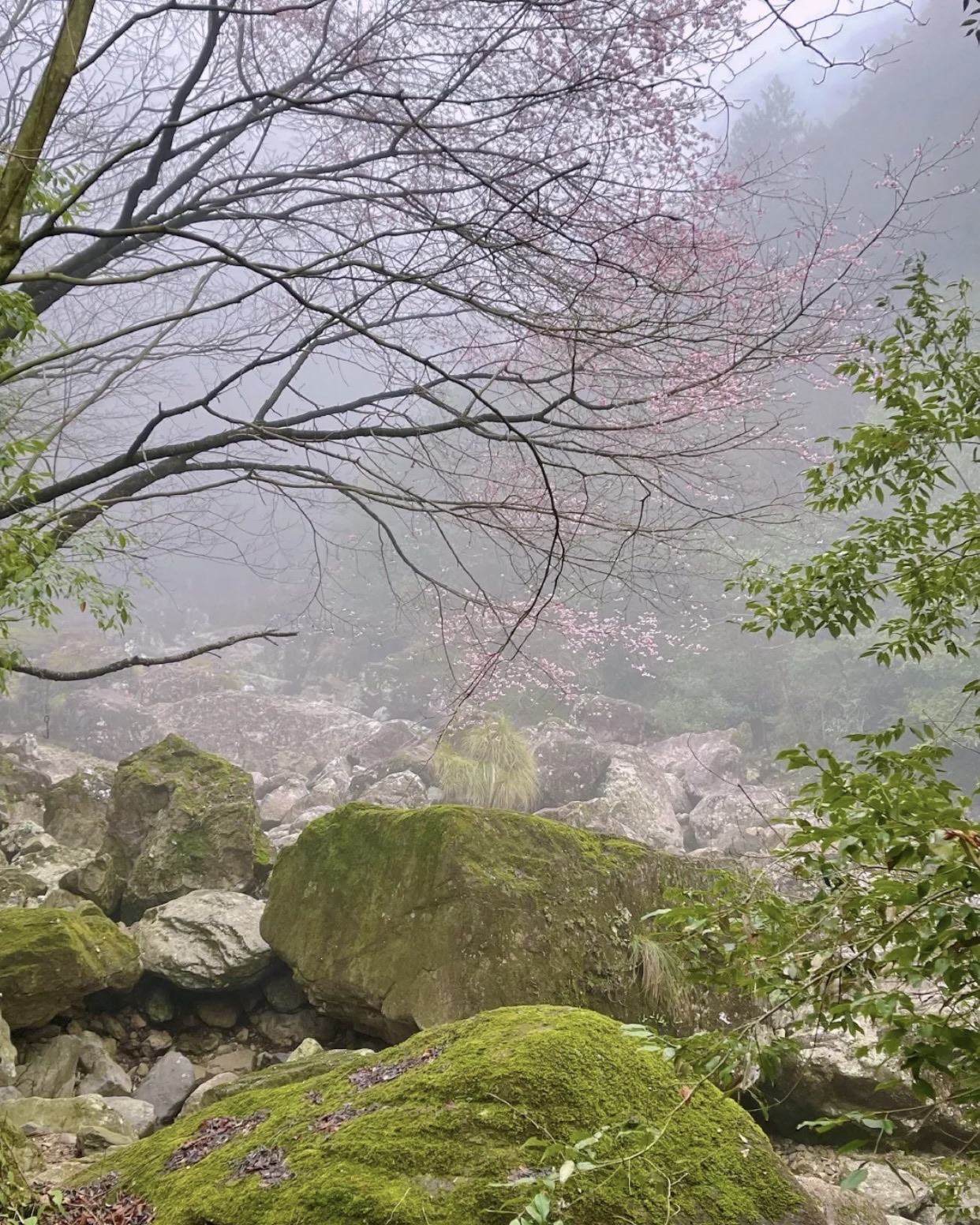 十门峡景区旅行图片 2