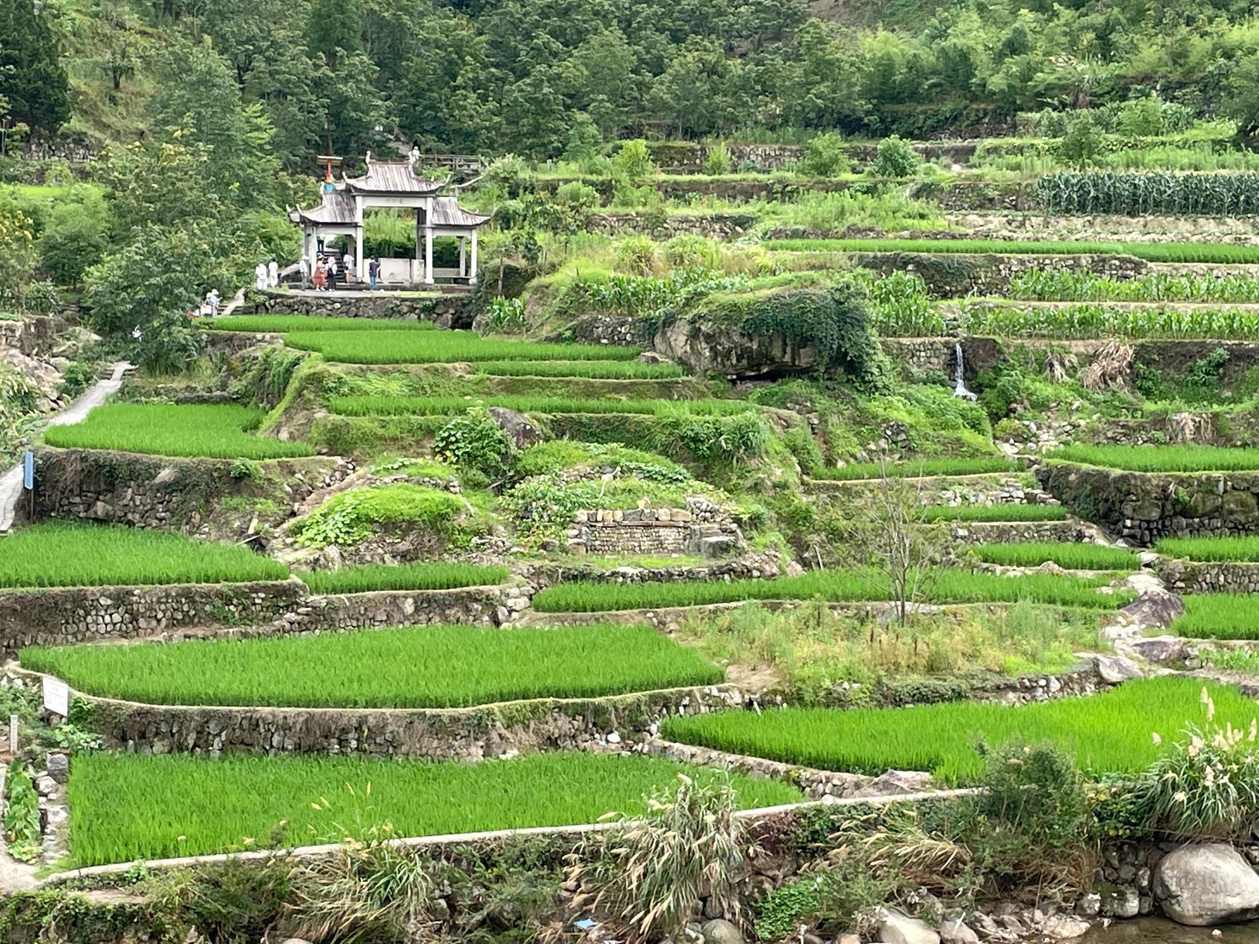 十门峡景区旅行图片 2