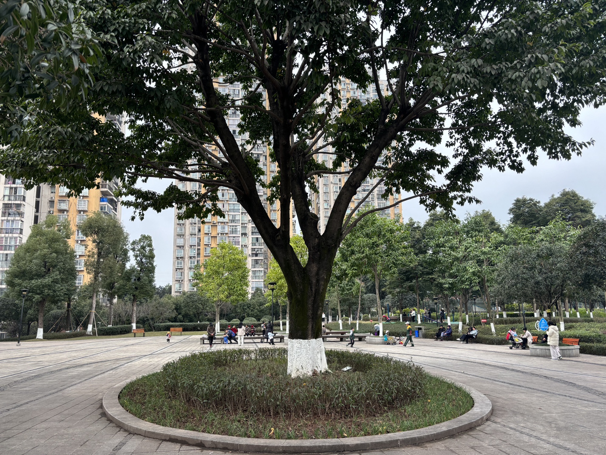 民康公园旅行图片 2