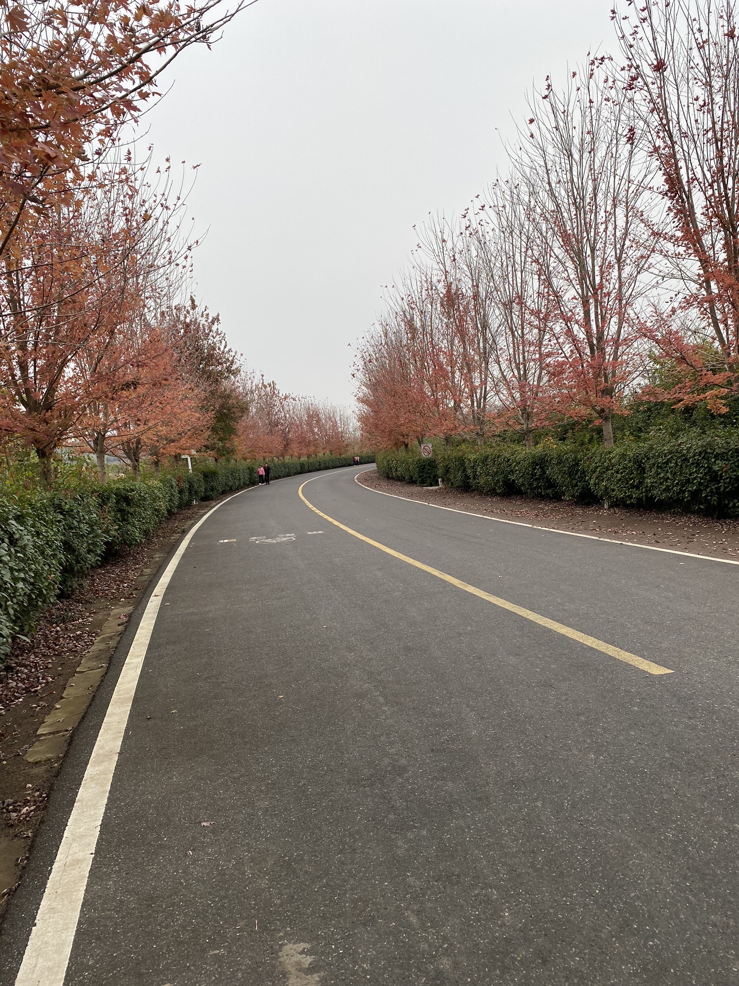 南京六合止马岭森林公园旅行图片 3