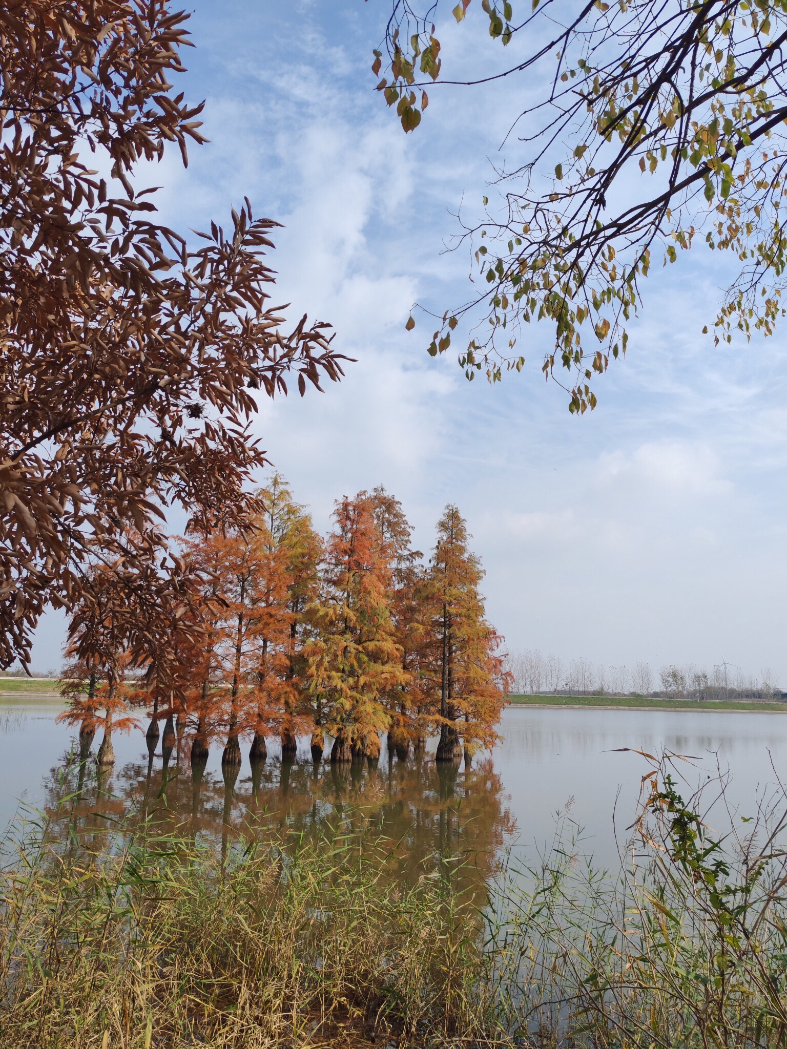 南京六合止马岭森林公园旅行图片 2