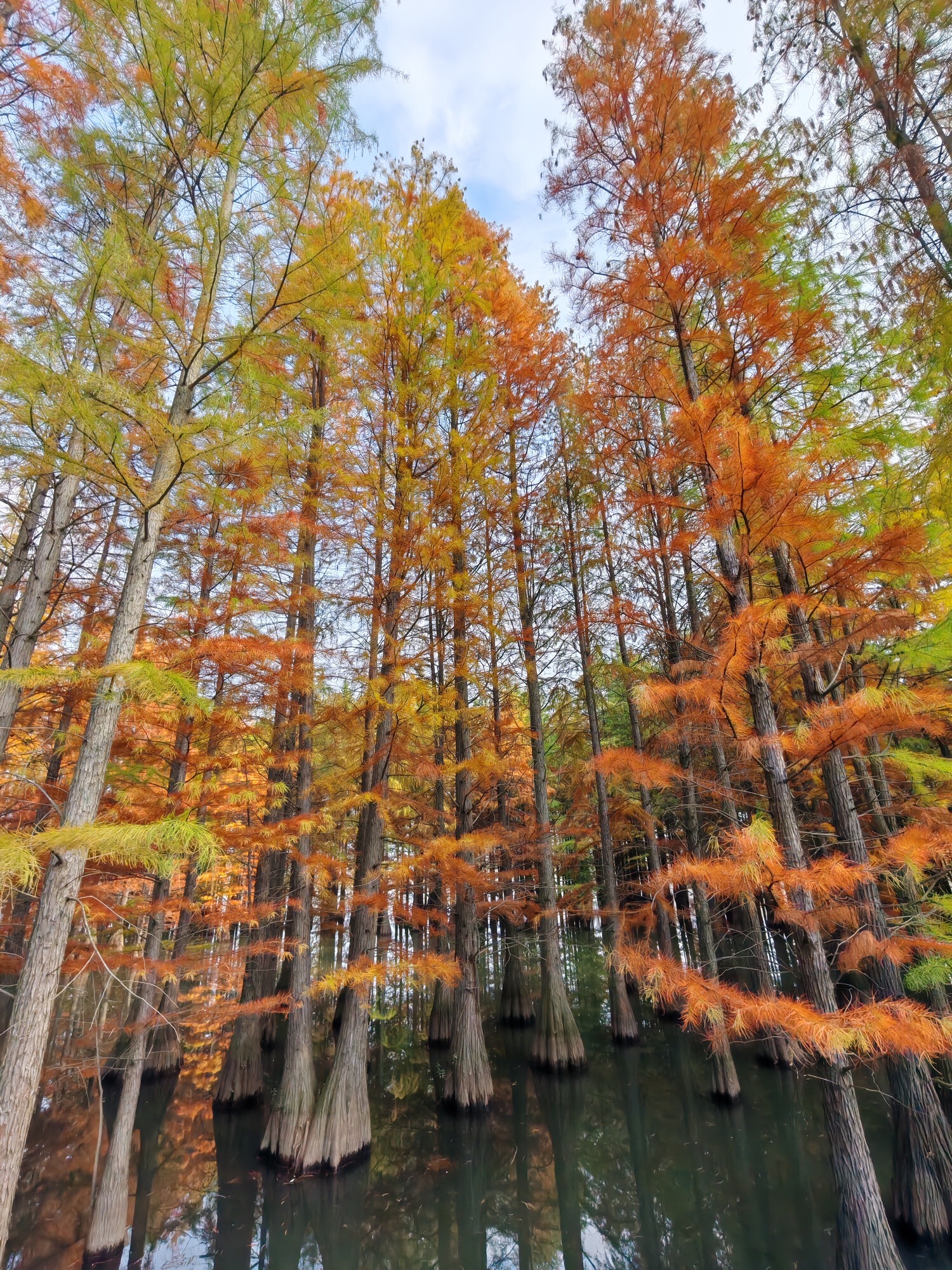 南京六合止马岭森林公园旅行图片 3