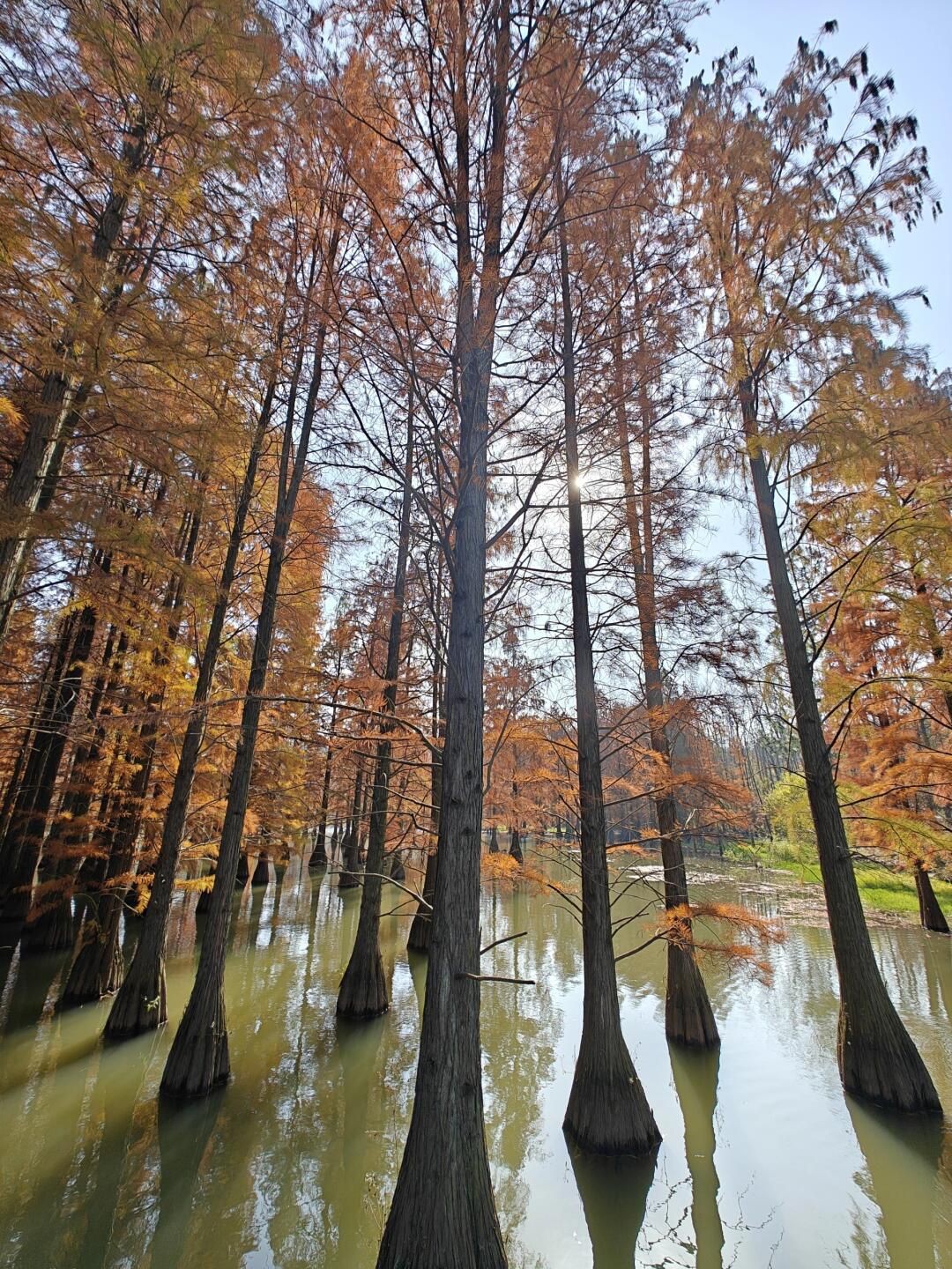 南京六合止马岭森林公园旅行图片 1
