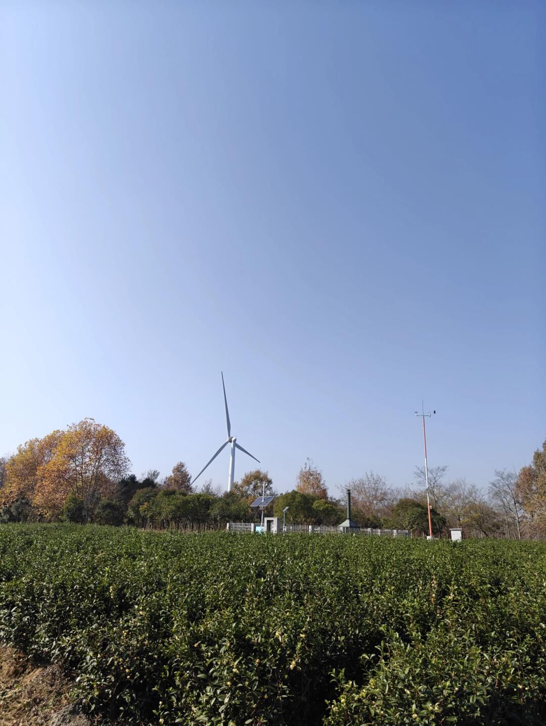 南京六合止马岭森林公园旅行图片 3