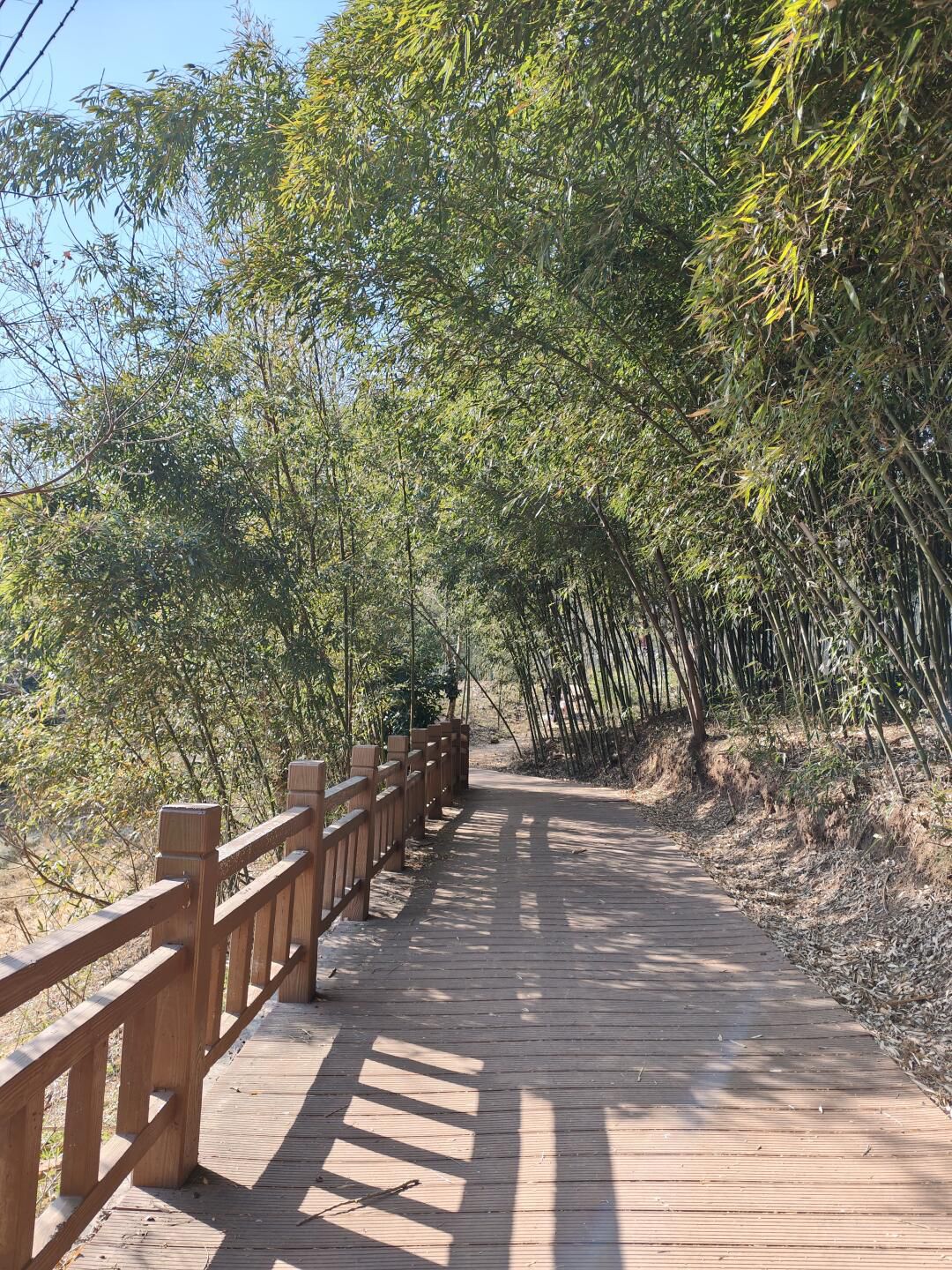 南京六合止马岭森林公园旅行图片 1