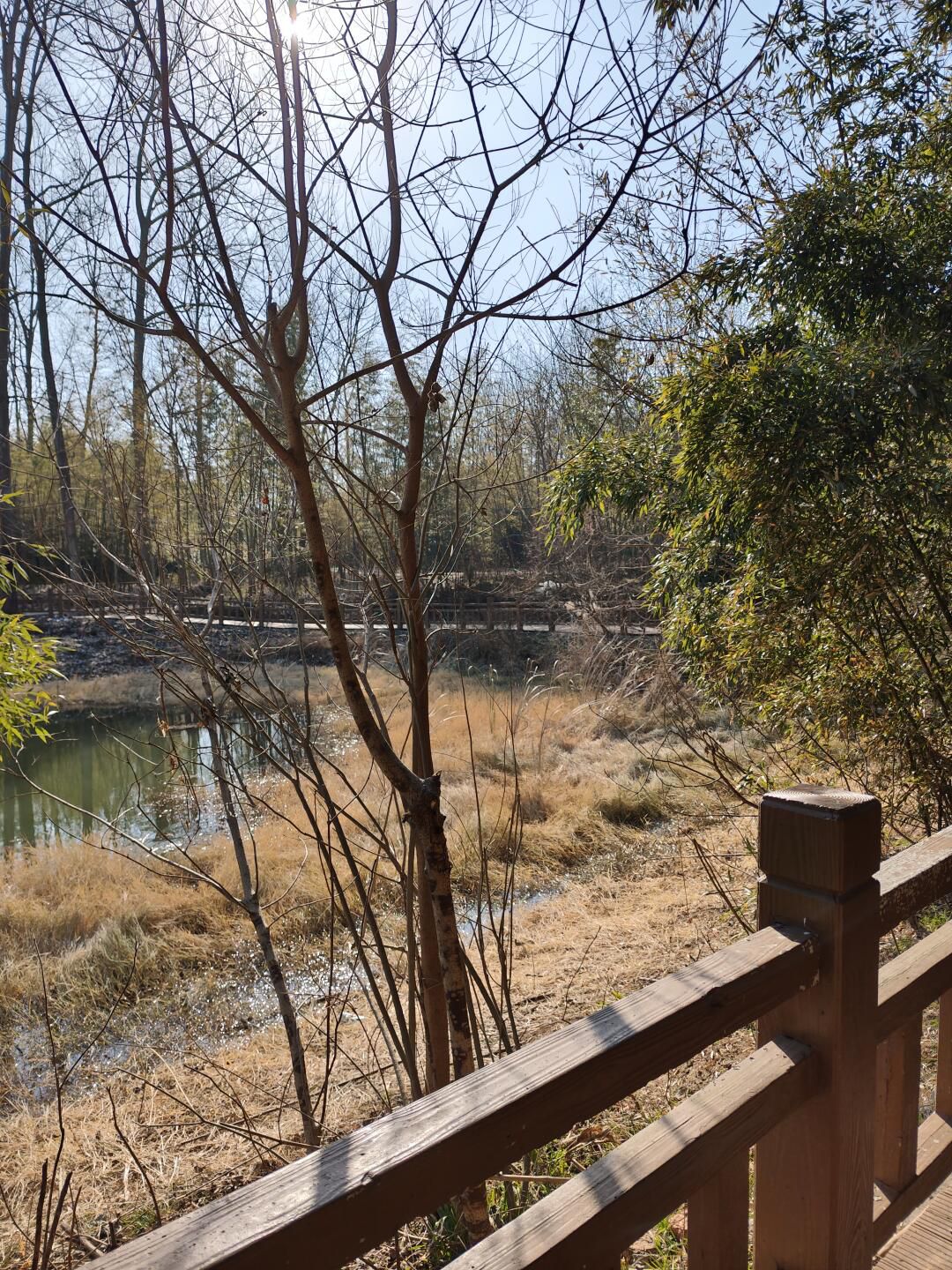 南京六合止马岭森林公园旅行图片 2