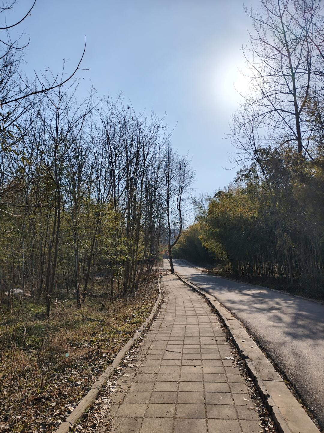 南京六合止马岭森林公园旅行图片 3