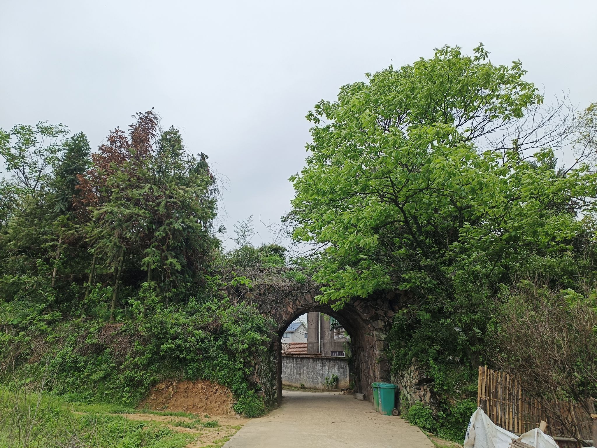 东华山寺