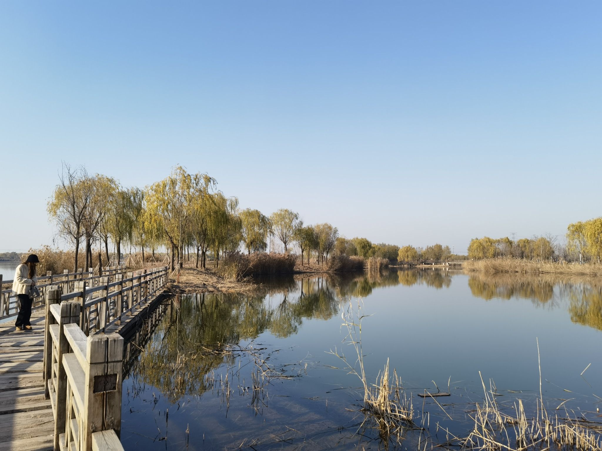安国湖国家湿地公园旅行图片 3