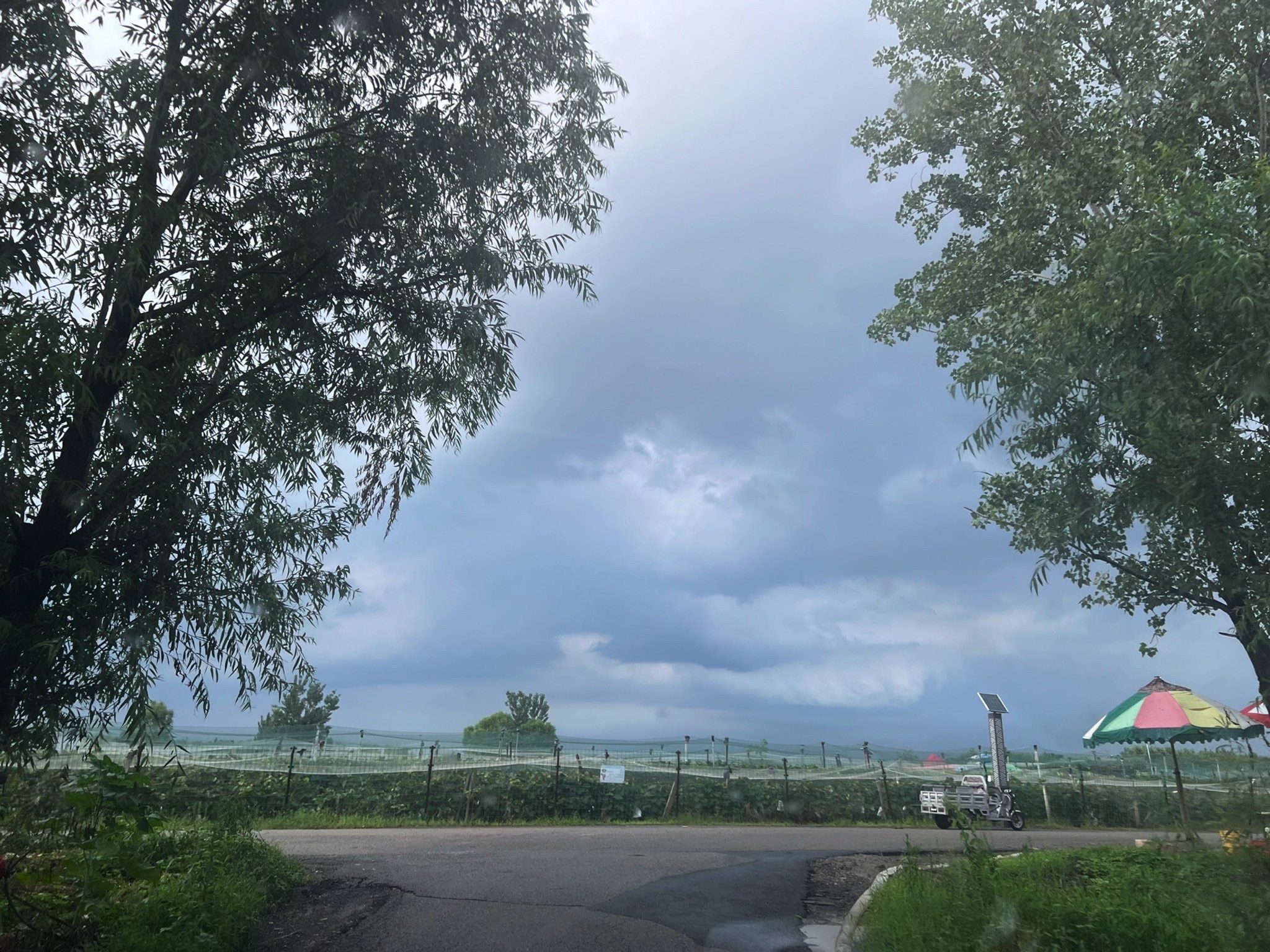 安国湖国家湿地公园旅行图片 1
