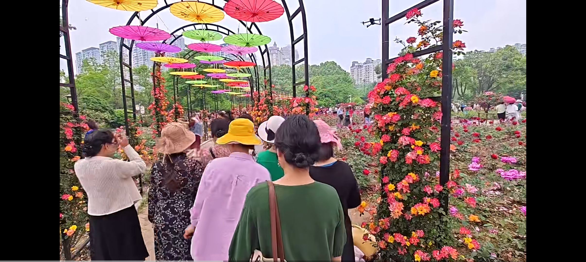 天府花海·蝶彩花卉园旅行图片 1