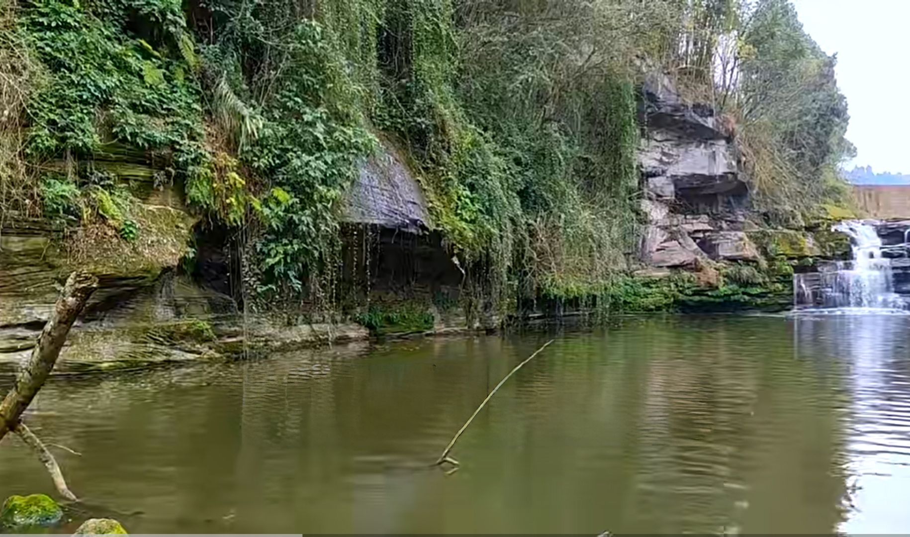 天府花海·蝶彩花卉园旅行图片 3
