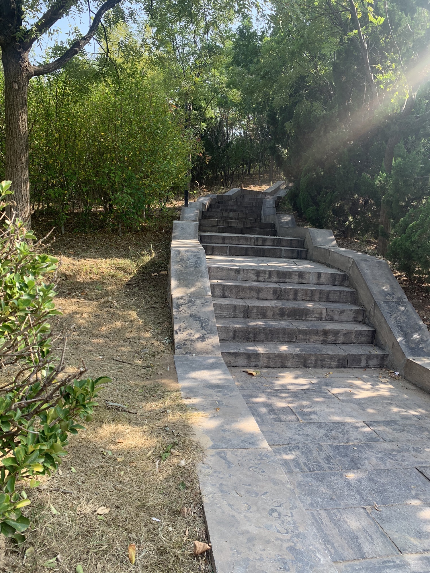 龙启山旅行图片 2