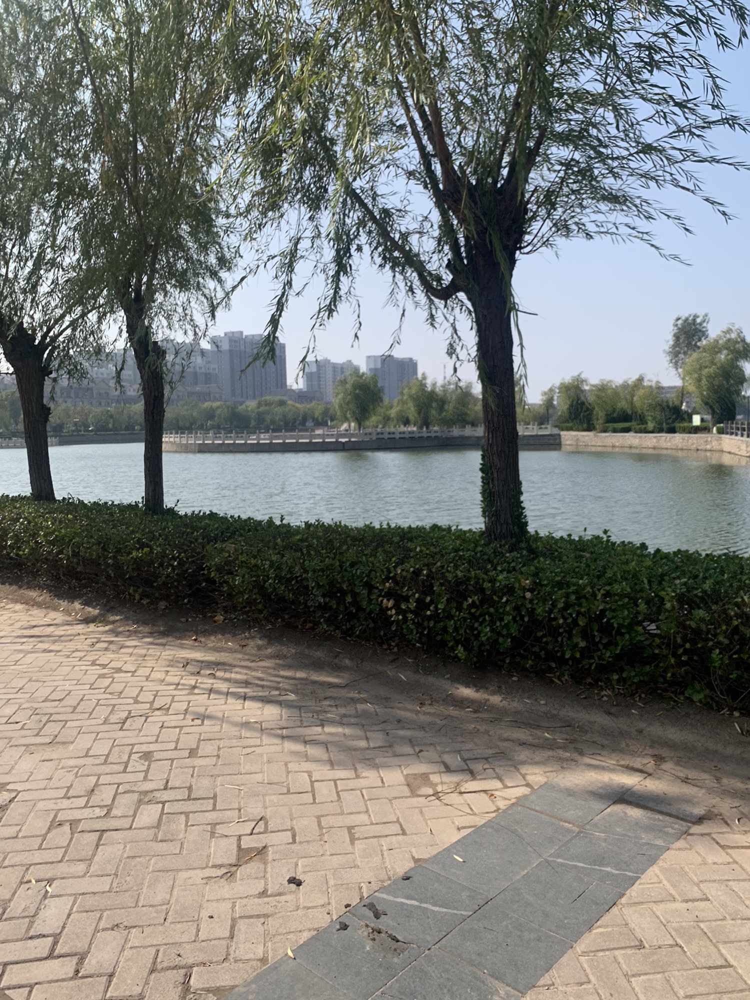 龙启山旅行图片 3