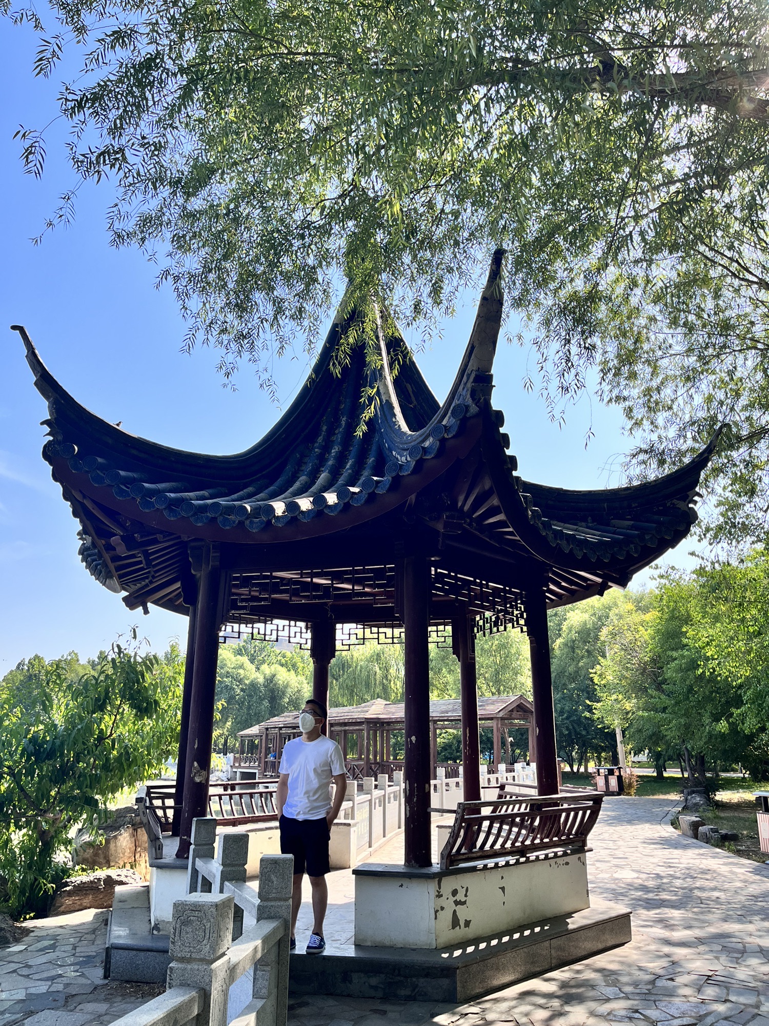 刘伶公园旅行图片 3