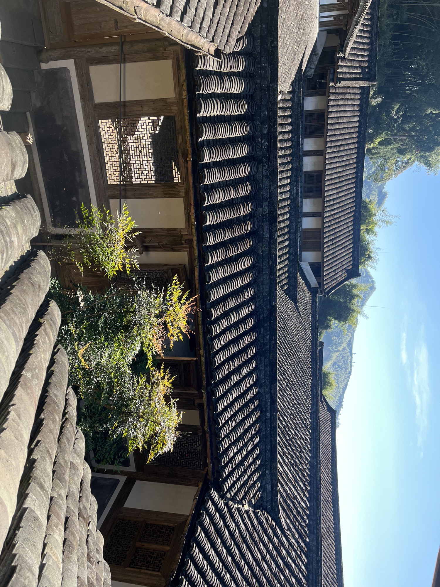 凤岐古民居旅行图片 3