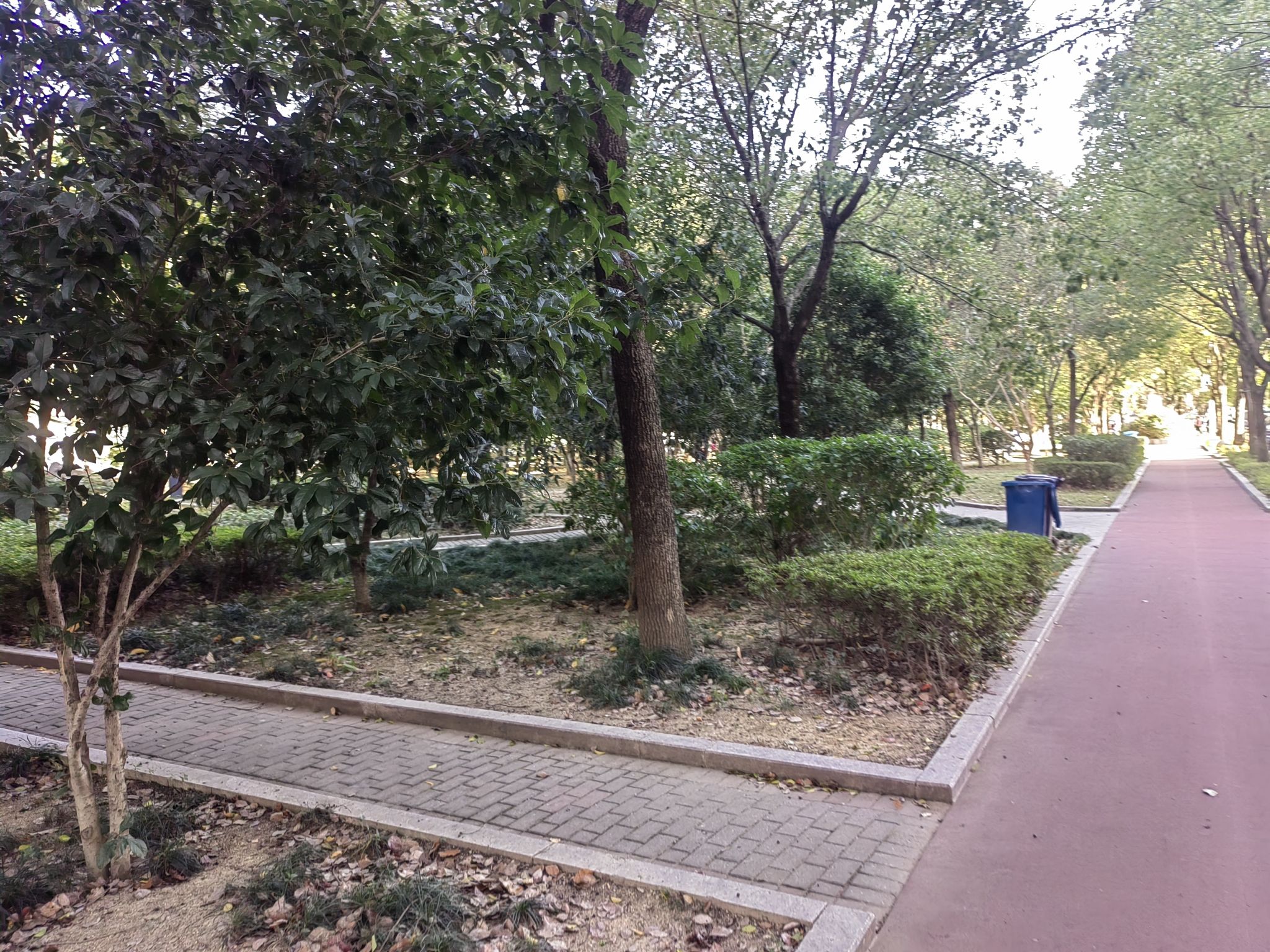 柳川公园旅行图片 3