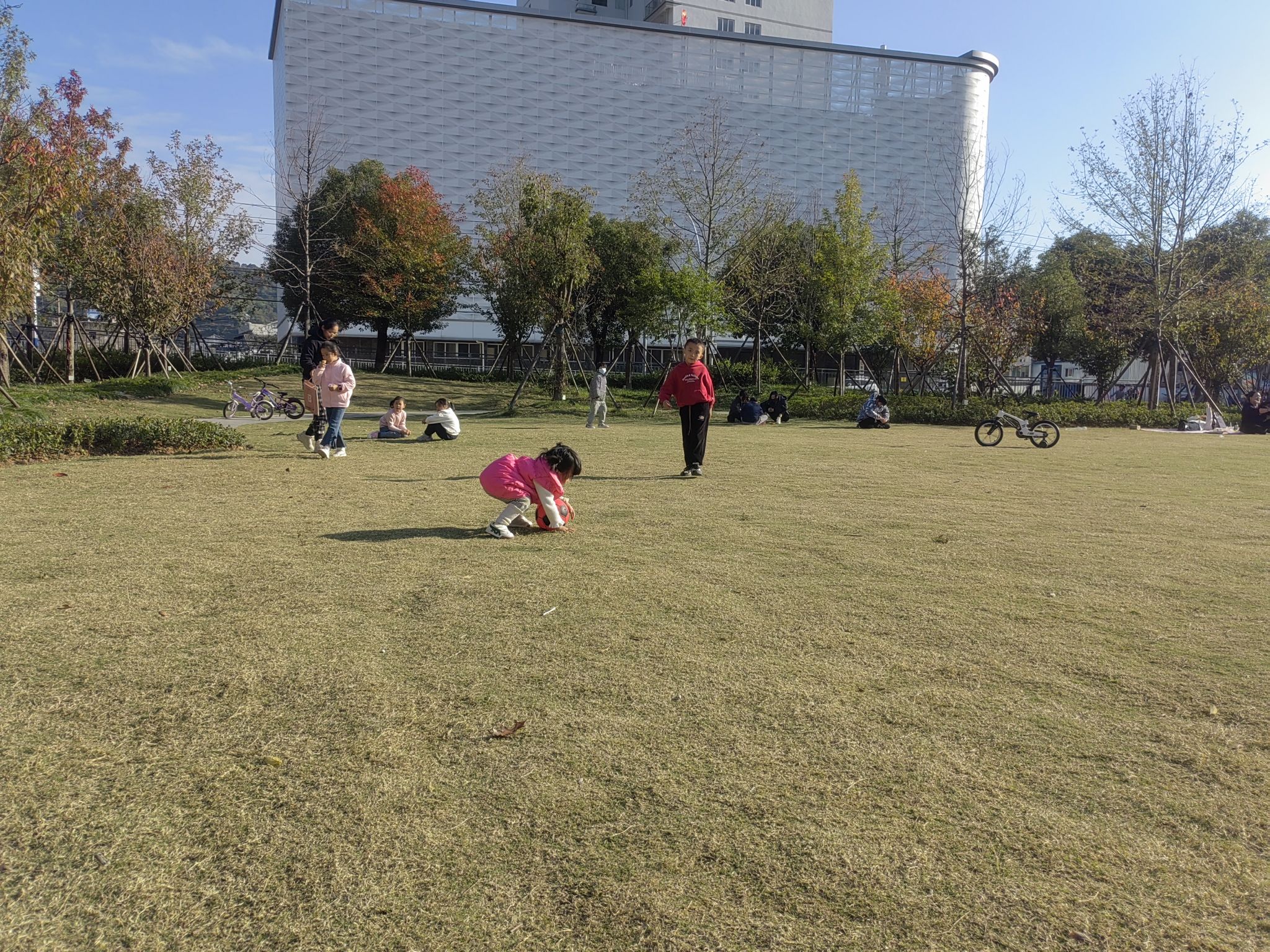 柳川公园旅行图片 1