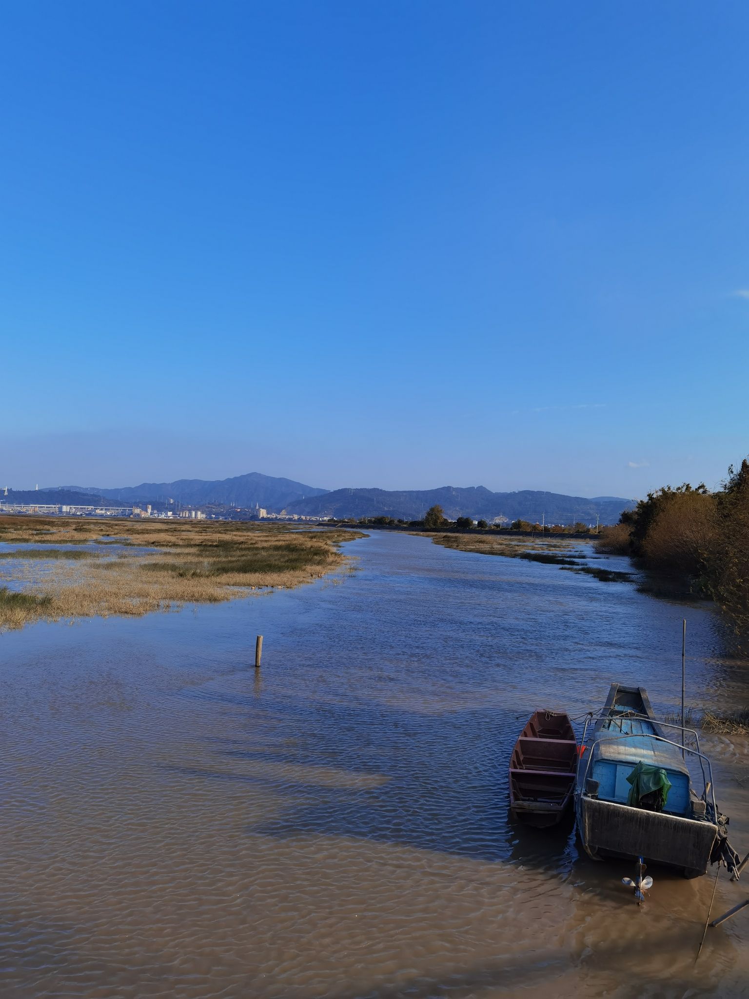 塔礁洲湿地公园旅行图片 2