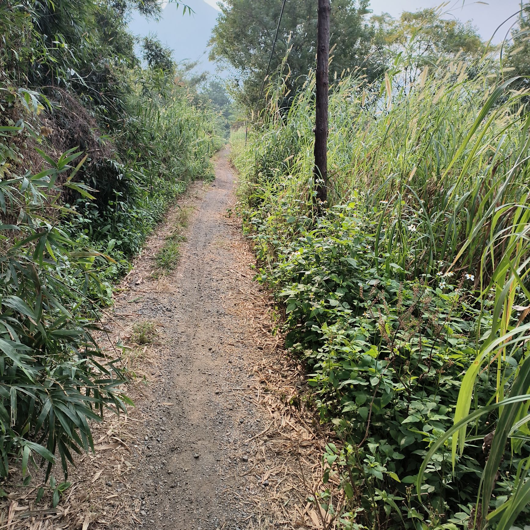 塔礁洲湿地公园旅行图片 2
