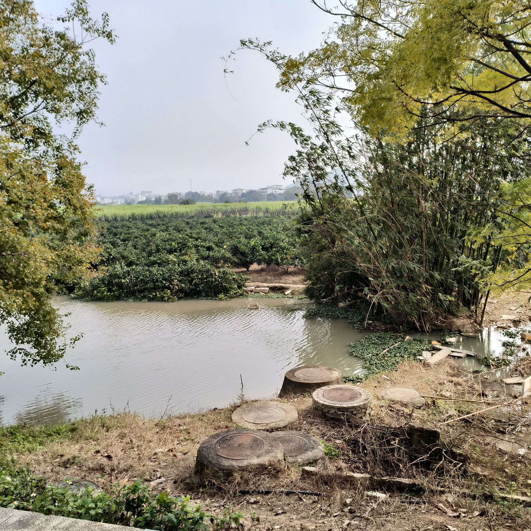 塔礁洲湿地公园旅行图片 3