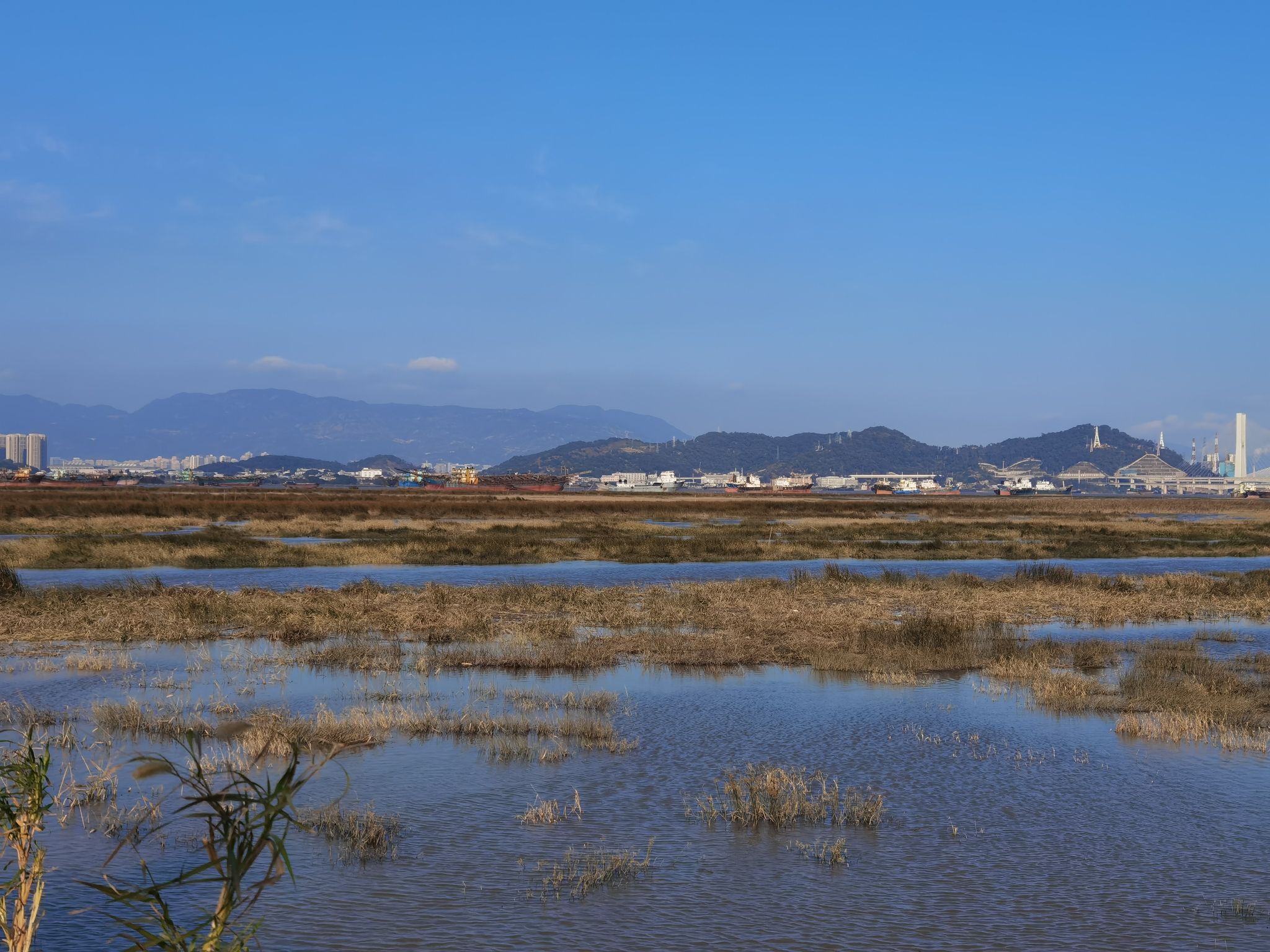 塔礁洲湿地公园旅行图片 1