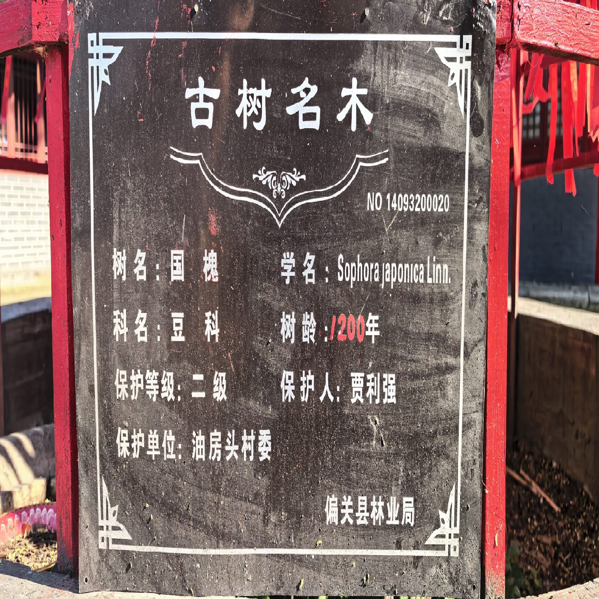 偏关县普渡寺实景照片
