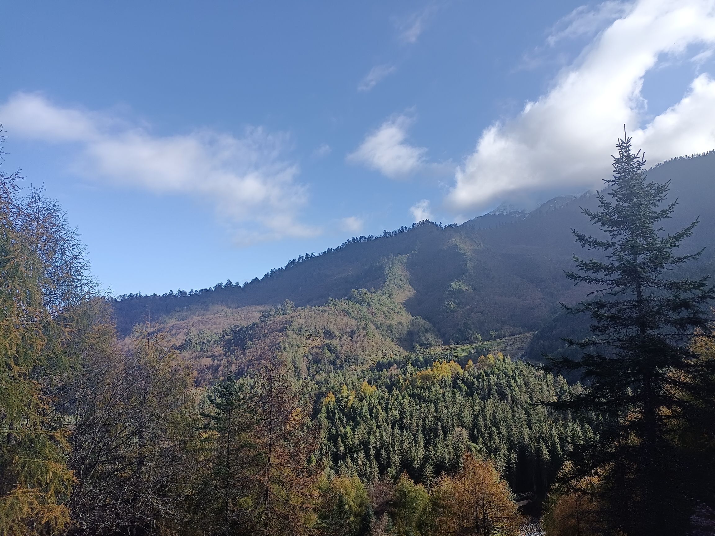 东拉山大峡谷旅行图片 2