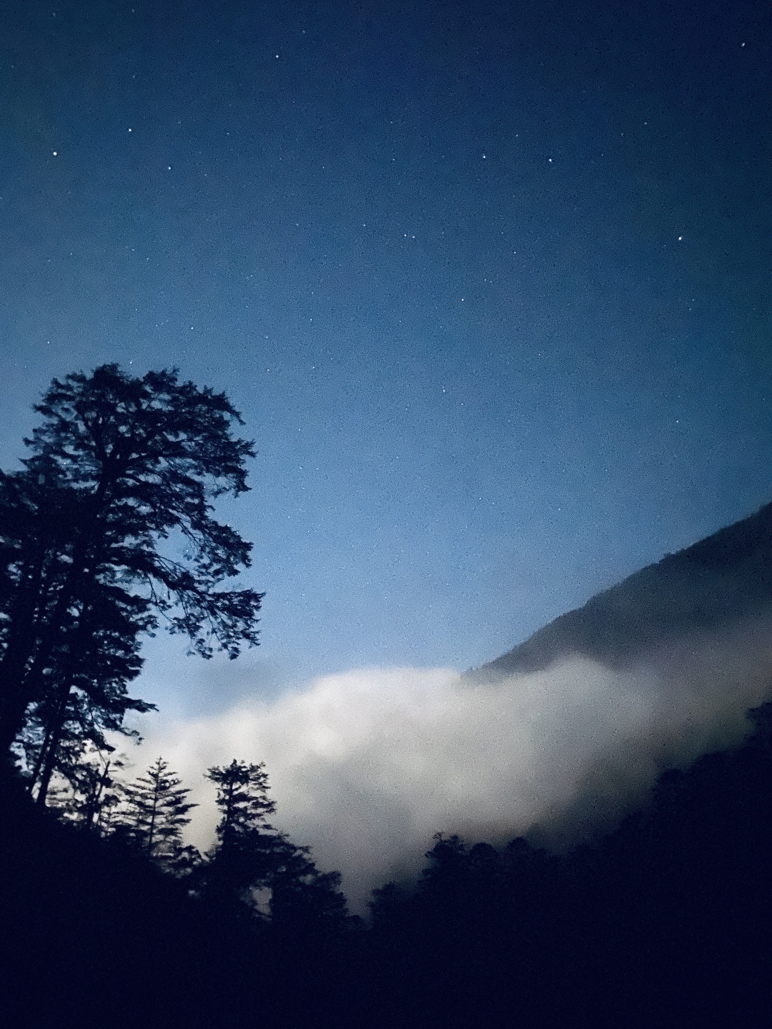 东拉山大峡谷旅行图片 1