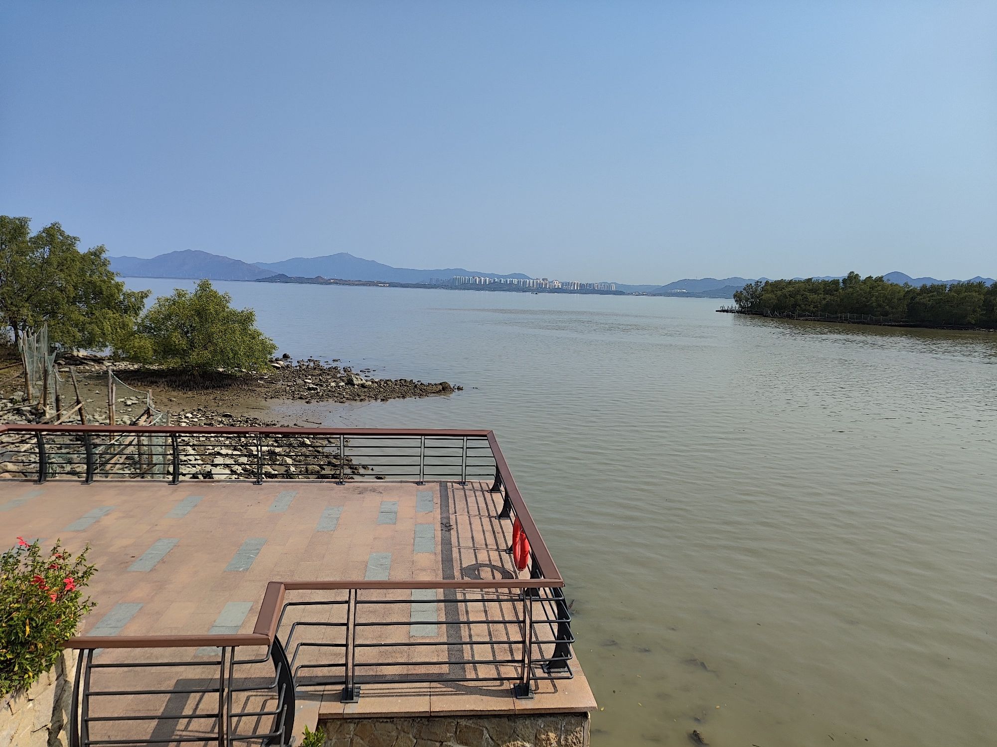 深圳湾草地公园