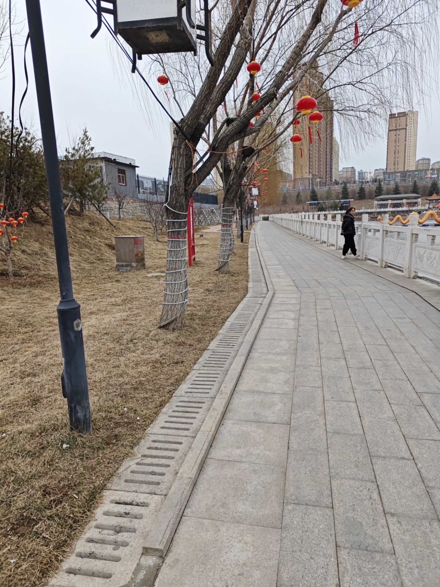 龙湾公园旅行图片 3