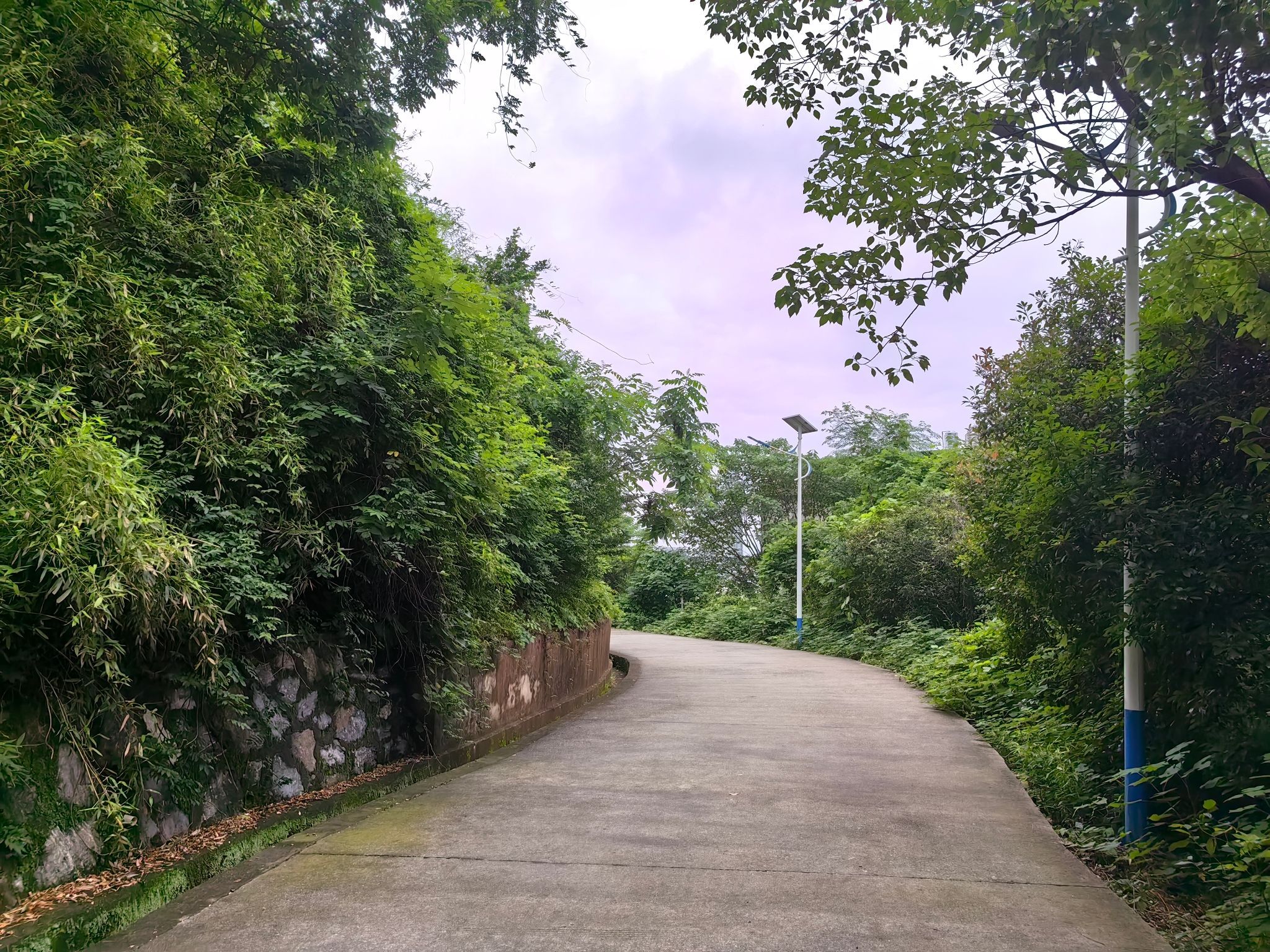 狮子岭公园旅行图片 1
