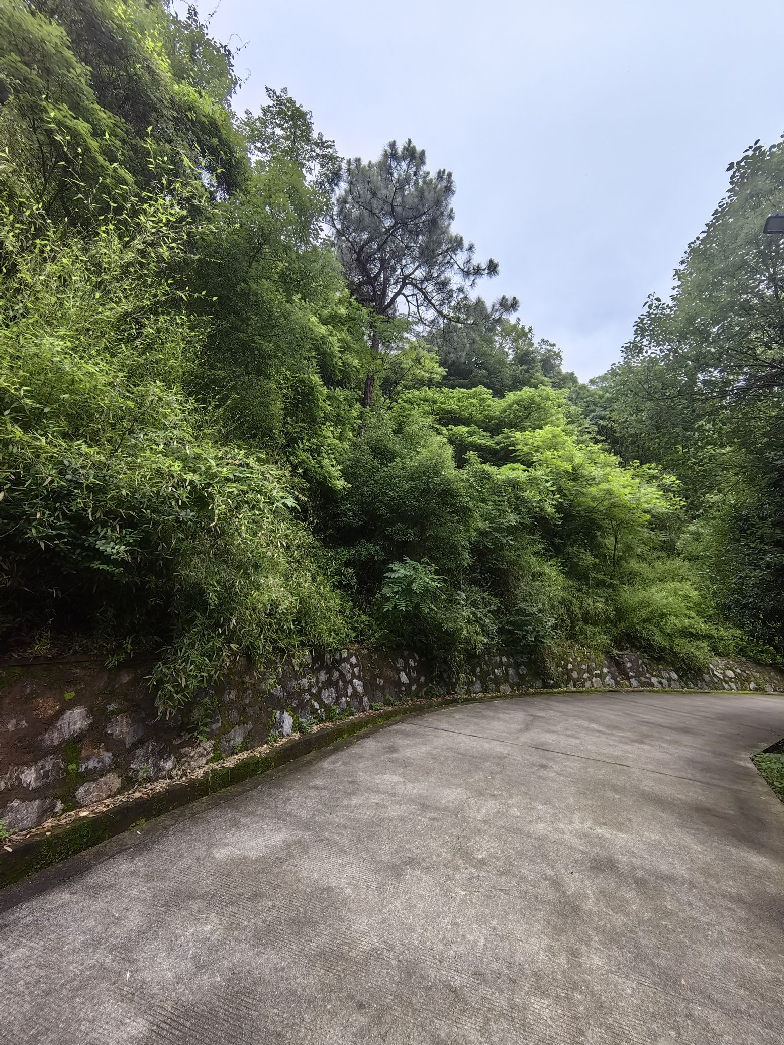 狮子岭公园旅行图片 2