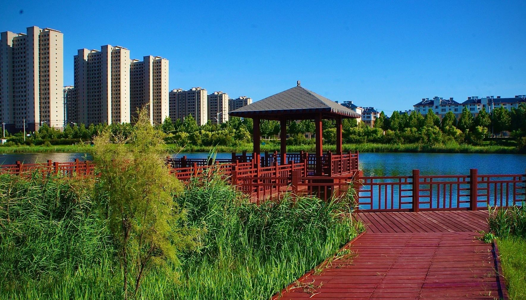 喜鹊湖公园旅行图片 3