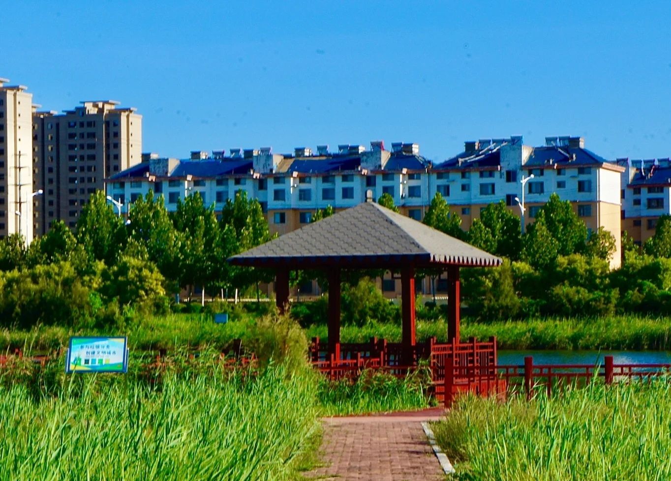 喜鹊湖公园旅行图片 2