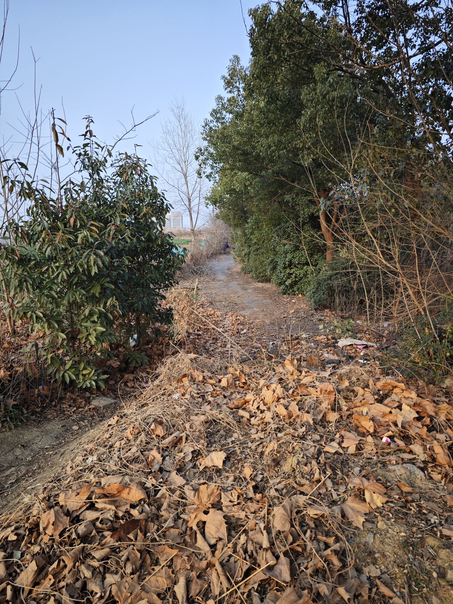 蝴蝶湖生态公园旅行图片 1