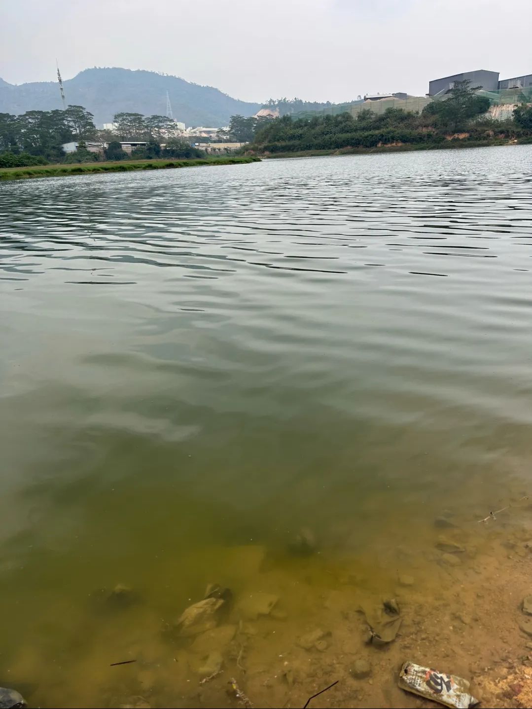 梅湖大坝旅行图片 3