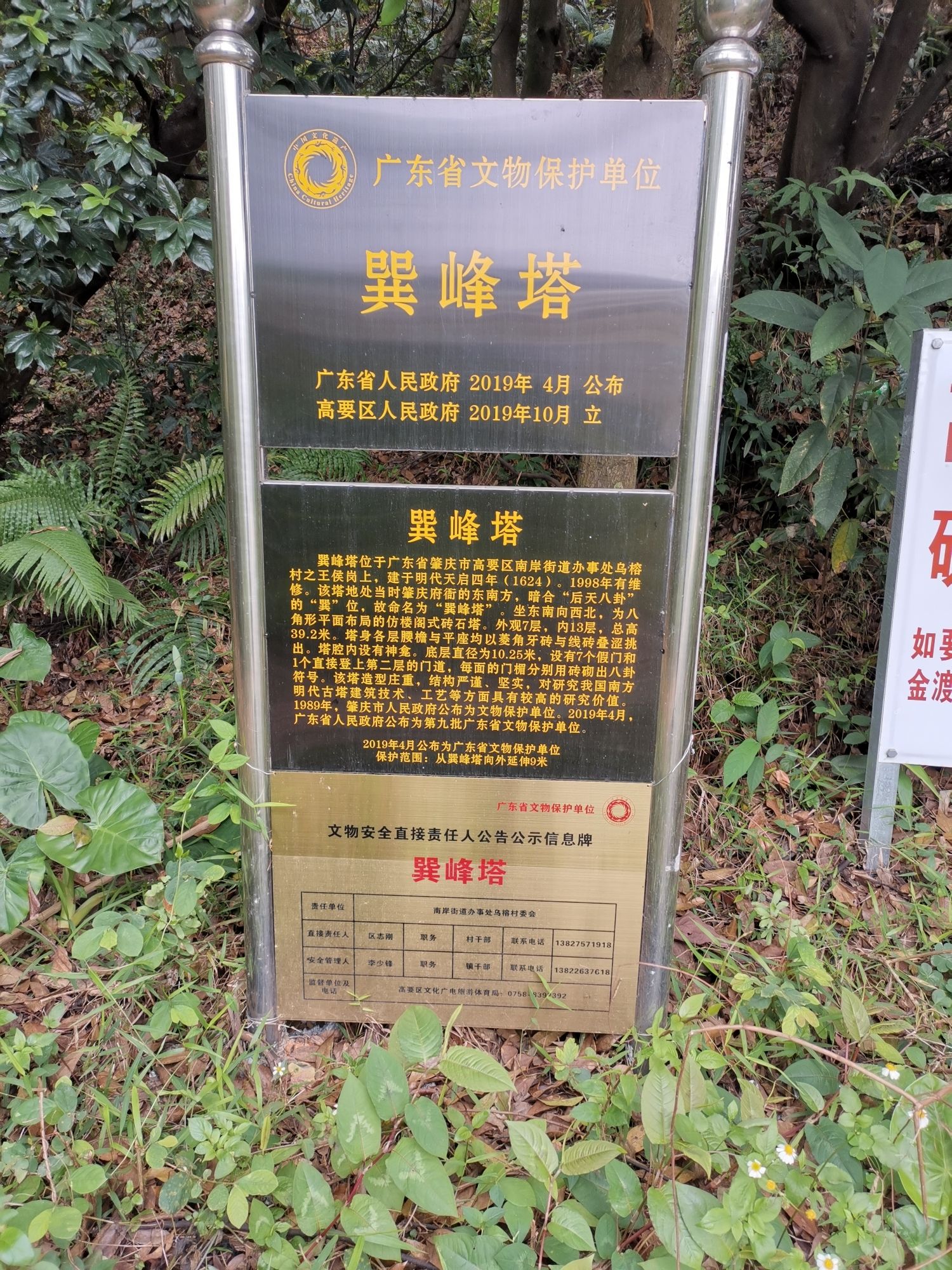 巽峰塔(不对外开放)旅行图片 3
