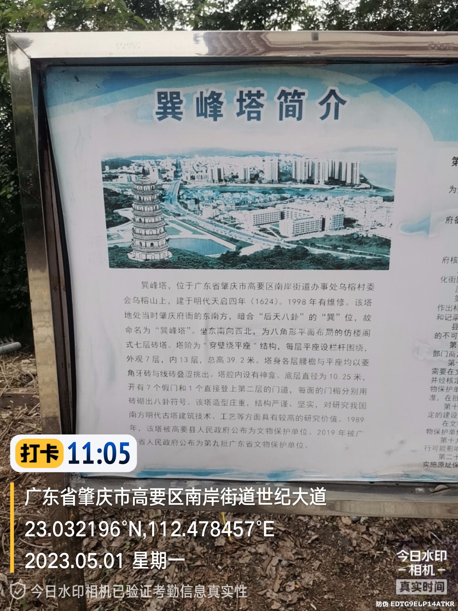 巽峰塔(不对外开放)旅行图片 1