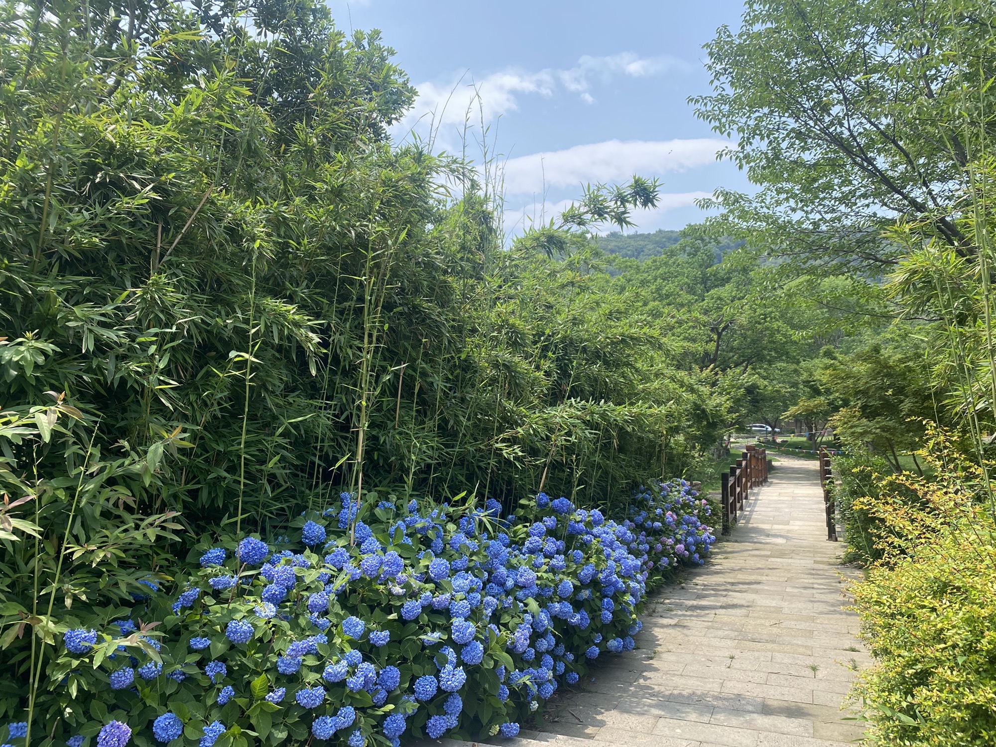 拈花湾·禅意小镇旅行图片 2