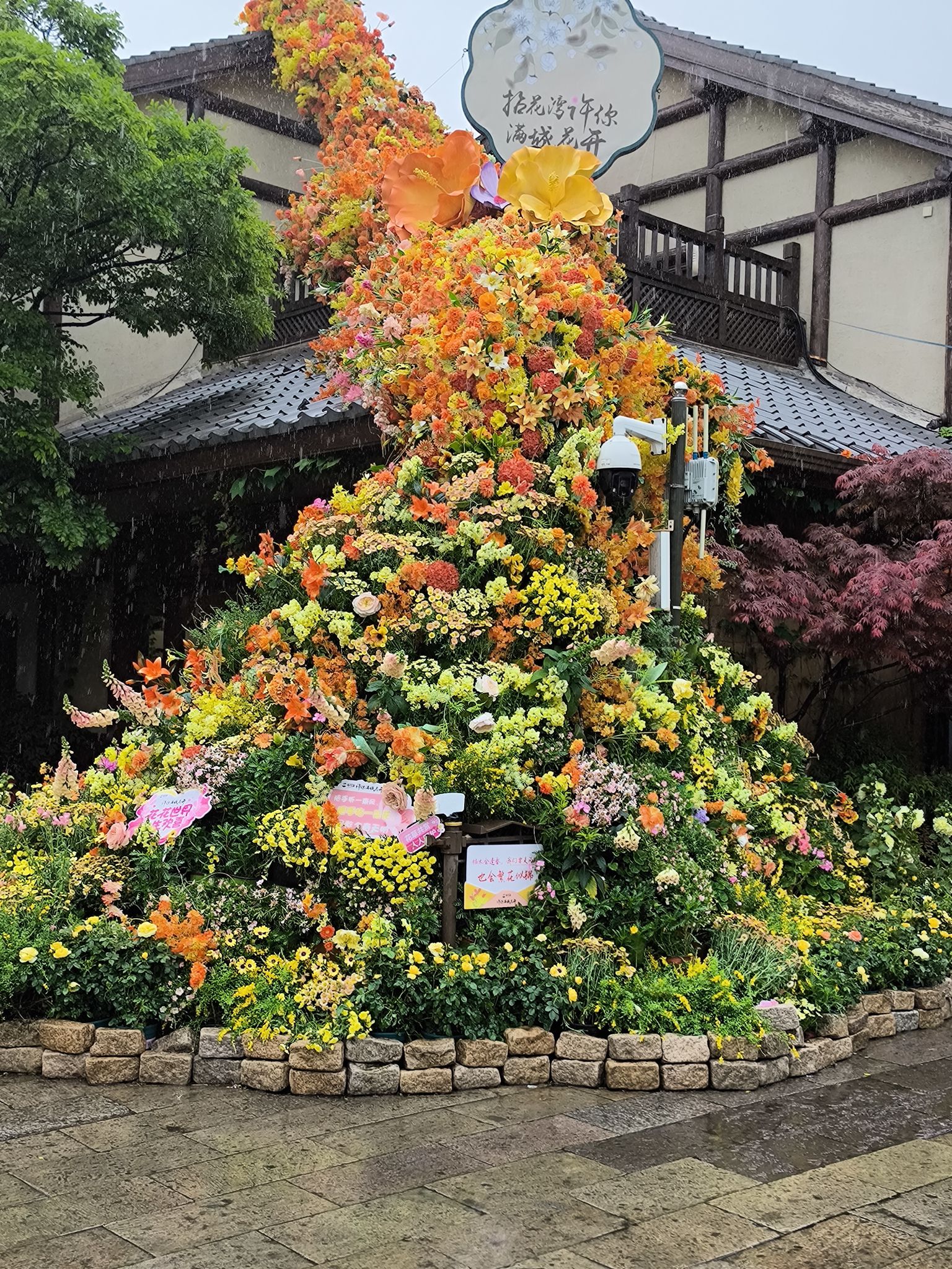 拈花湾·禅意小镇旅行图片 3