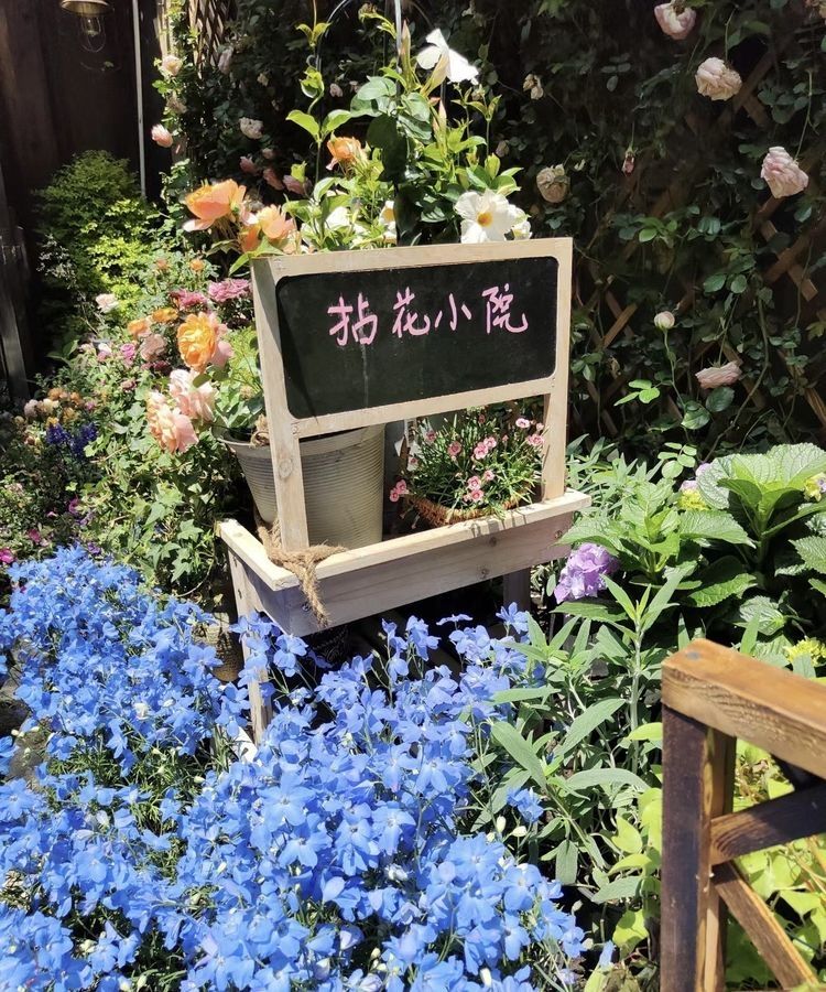 拈花湾·禅意小镇旅行图片 3